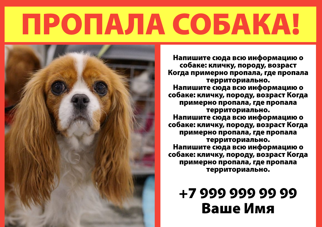 Листовка-объявление о пропавшей собаке (или другом животном). Размер макета - 297x210 мм.